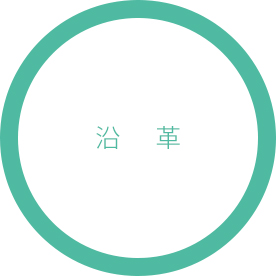 沿革
